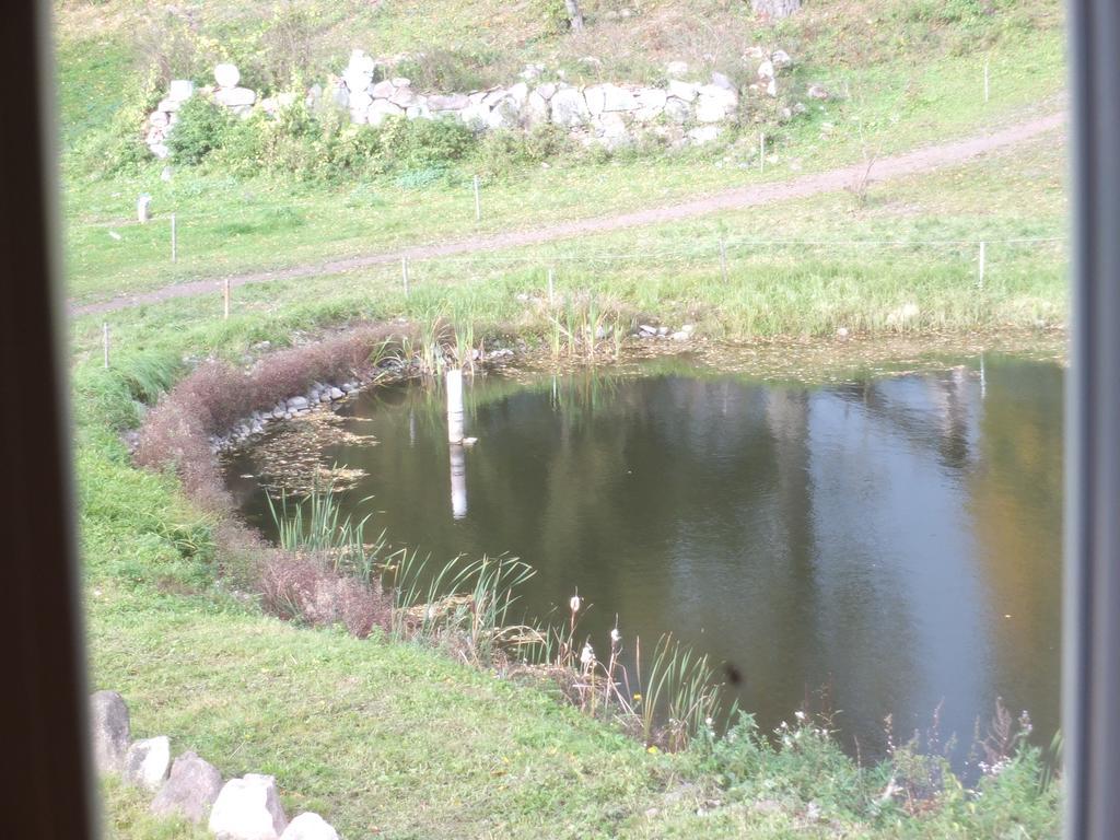 Dwor Klewiny Villa Kültér fotó